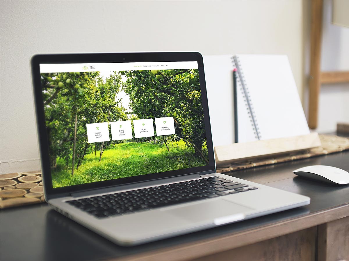 portfolio-img